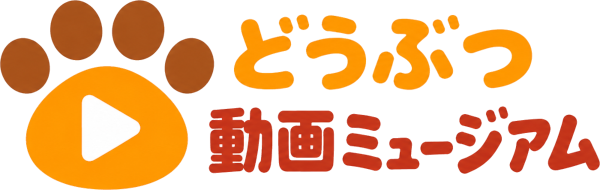 どうぶつ動画ミュージアム